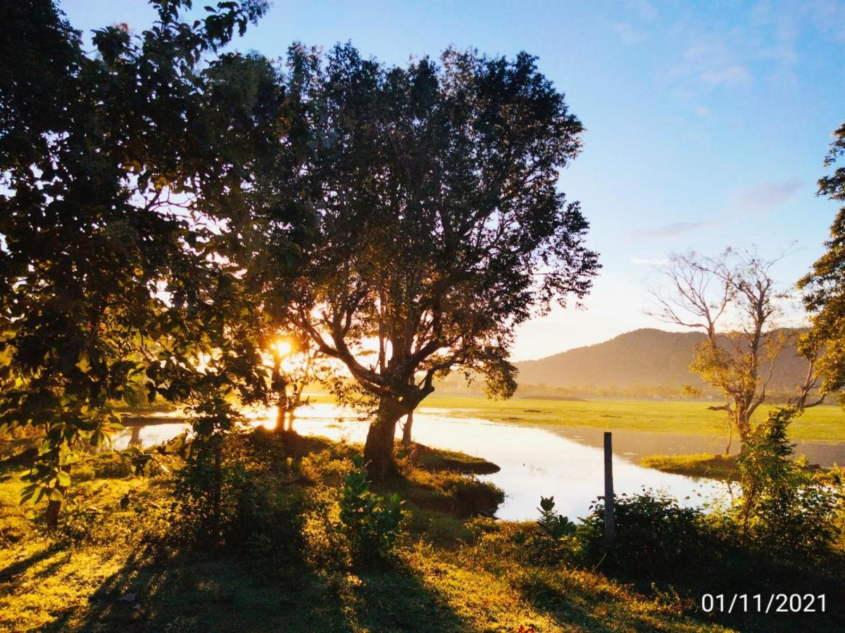 Lake Front Yala Safari Kataragama Bagian luar foto