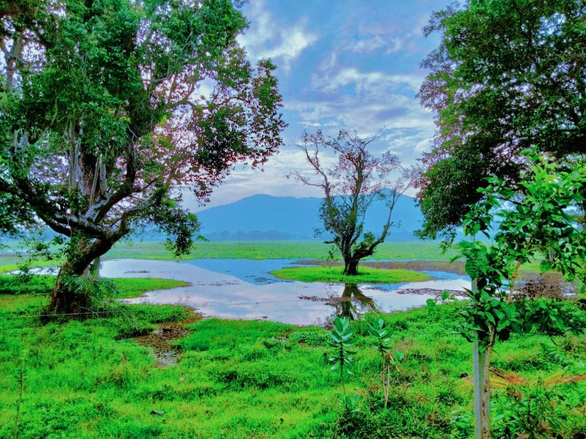Lake Front Yala Safari Kataragama Bagian luar foto