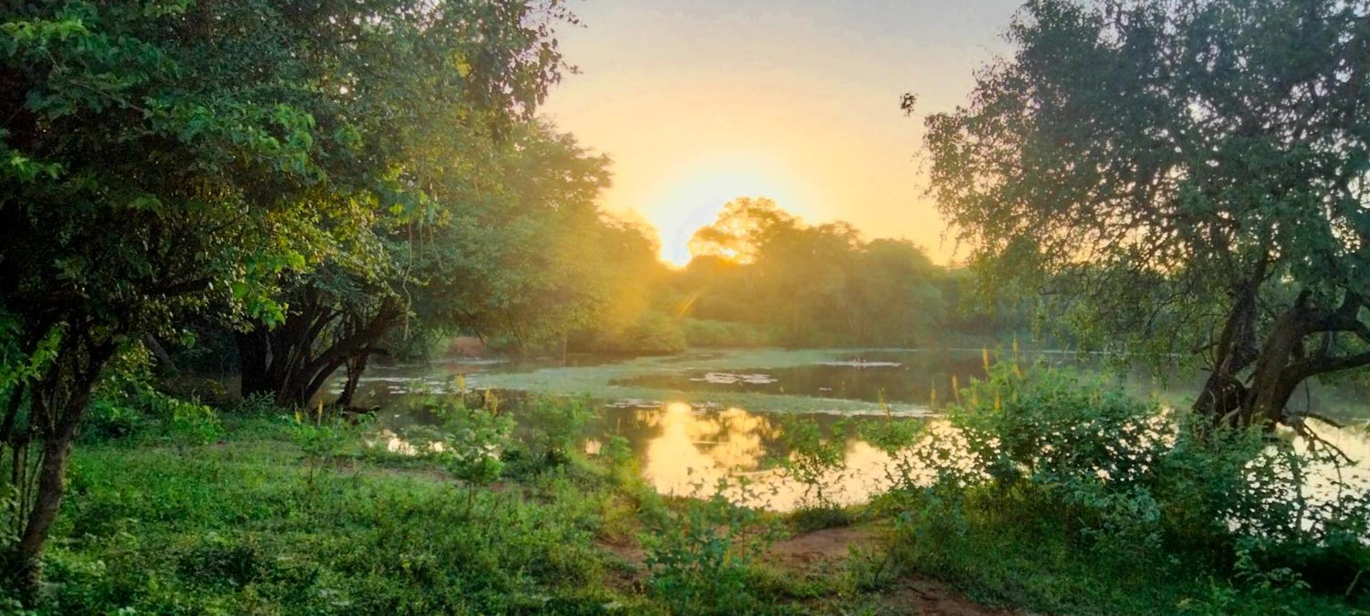 Lake Front Yala Safari Kataragama Bagian luar foto