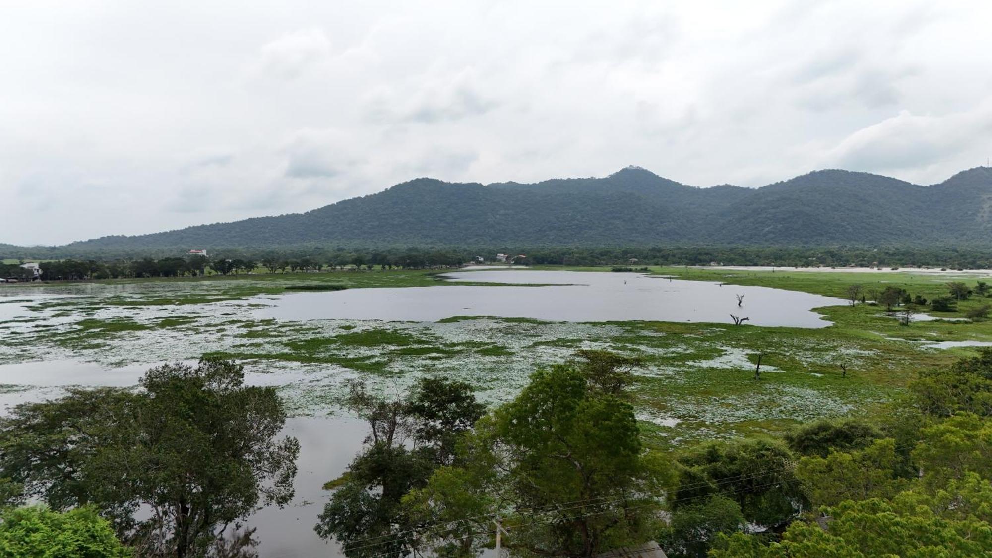 Lake Front Yala Safari Kataragama Bagian luar foto