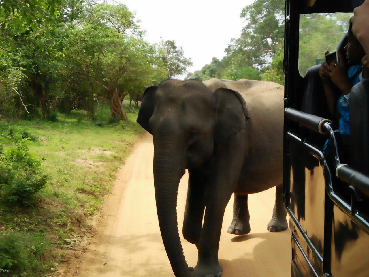 Lake Front Yala Safari Kataragama Bagian luar foto